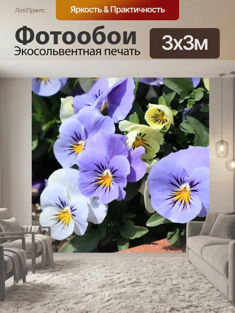 Фотообои Цветы