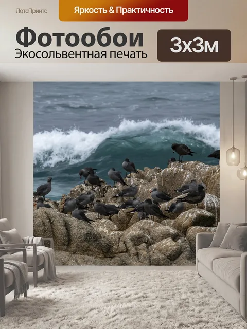 Фотообои береговые птицы у моря