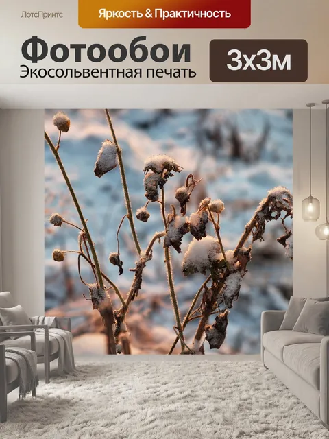 Фотообои Замороженные растения