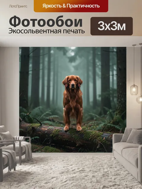 Фотообои Золотистый ретривер в лесу