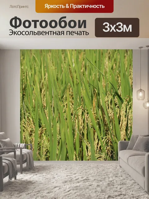 Фотообои Рис