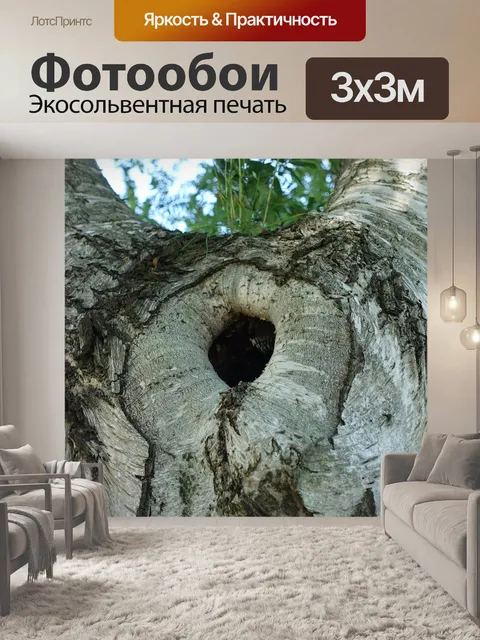 Фотообои Отверстие