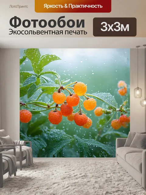 Фотообои княженика, с яркими, блестящими ягодами, покрыта росой, утренним светом, накрывает её нежный туман