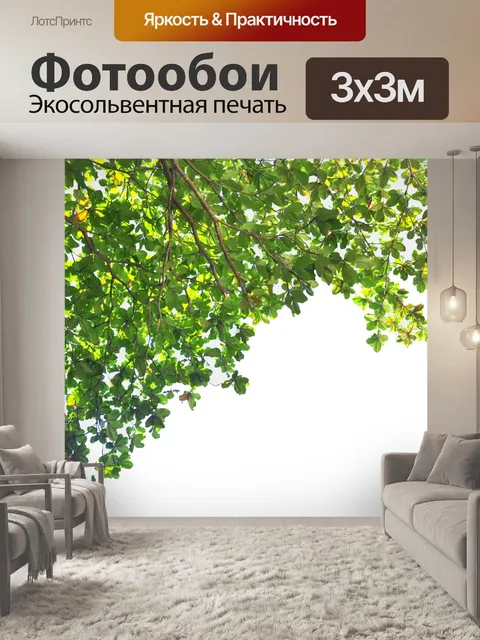 Фотообои Зеленые листья на белом фоне