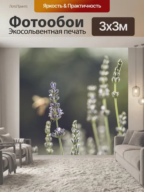 Фотообои Фон