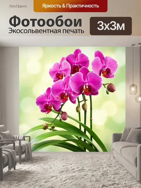 Фотообои Розовые орхидеи с бутонами