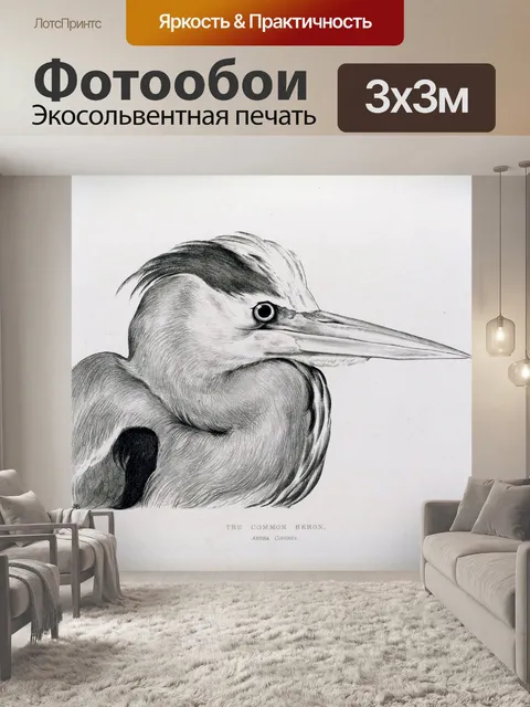 Фотообои Винтажная иллюстрация цапли птиц