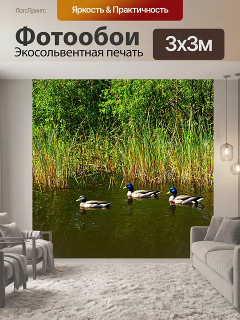 Фотообои лесное тихое озеро с утками и тростниками