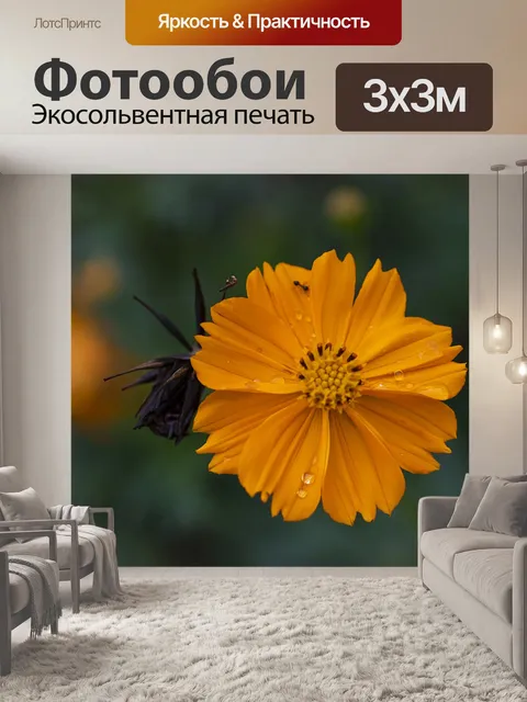 Фотообои Космос
