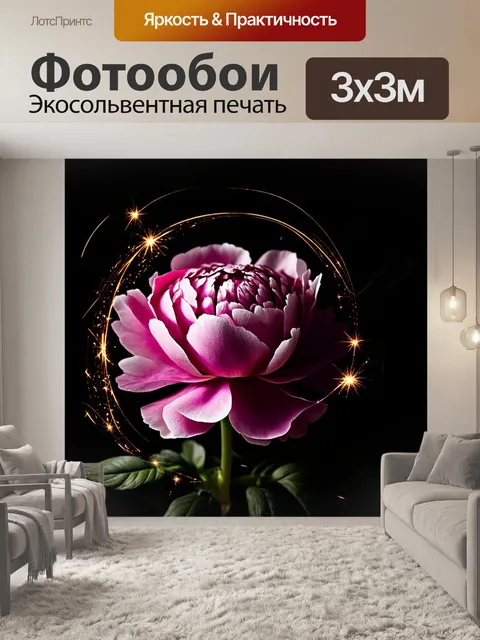 Фотообои Цветок пиона крупным планом, с нежными розовыми лепестками, оформленный на темном фоне
