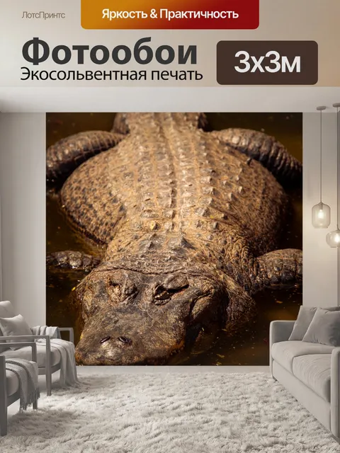 Фотообои крокодил