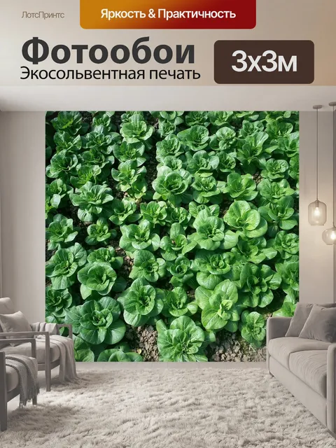 Фотообои Зеленые овощи