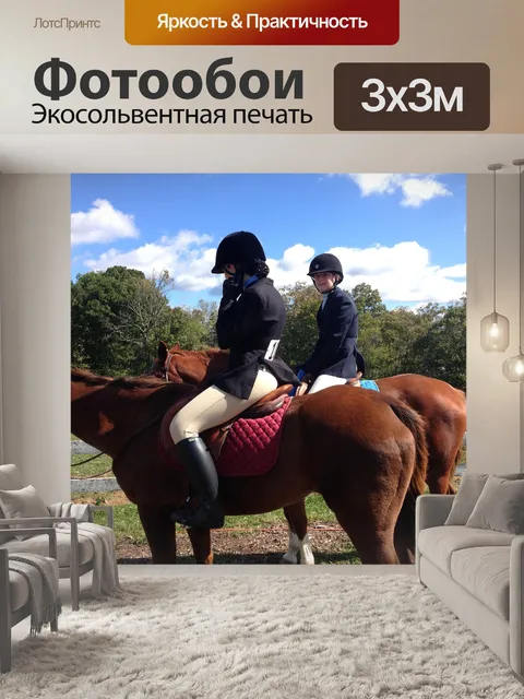 Фотообои Лошади