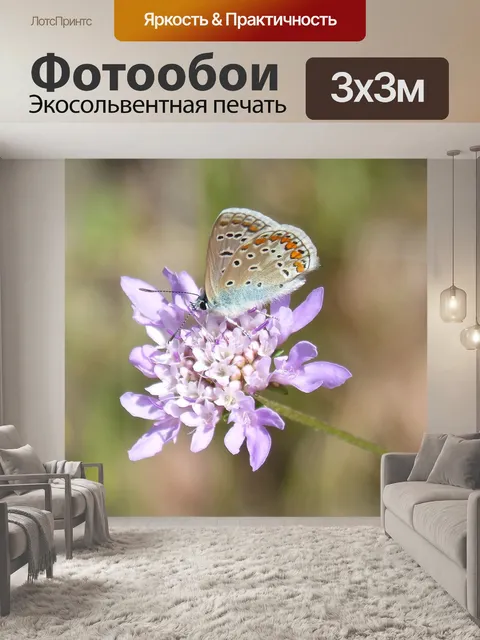 Фотообои Голубая бабочка