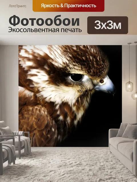 Фотообои Ястреб на черном фоне