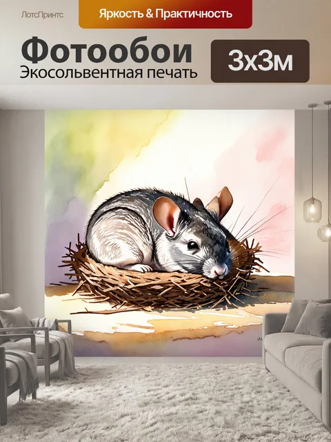 Фотообои шиншилла во время сна