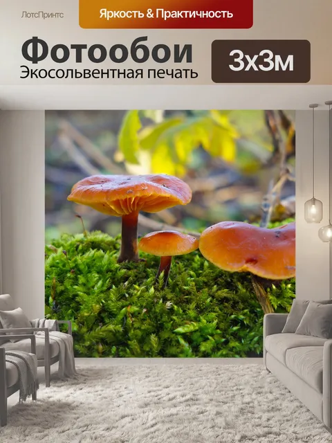 Фотообои Гриб