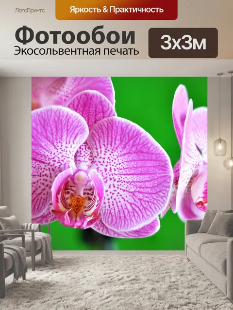 Фотообои Орхидея