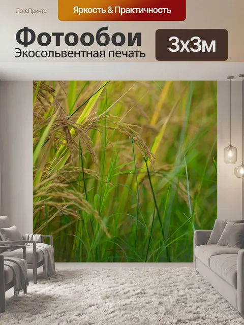 Фотообои Пэдди