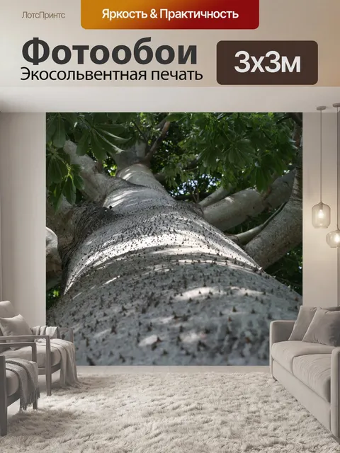 Фотообои Коста-Рика Дерево