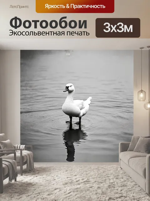Фотообои белая утка стоит на краю озера
