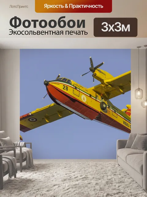 Фотообои Canadair