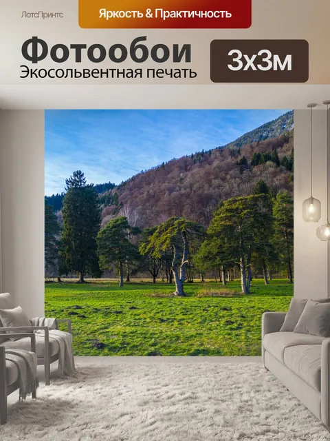 Фотообои Луг