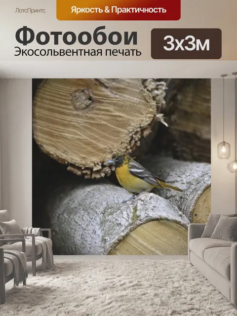 Фотообои Балтимор
