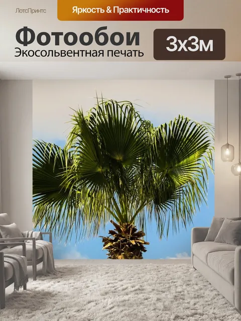 Фотообои Пальма