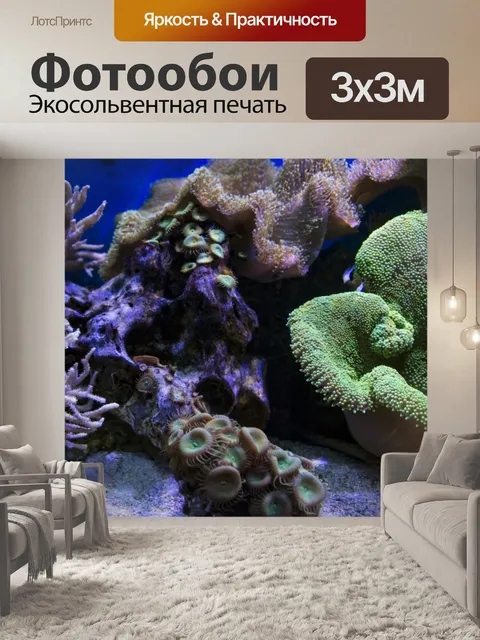 Фотообои Сцены из коралловых рифов