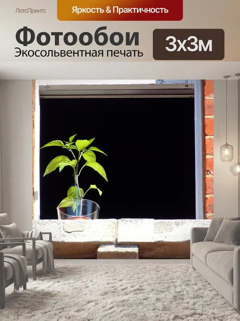 Фотообои Горшечный завод в Солнечном окне