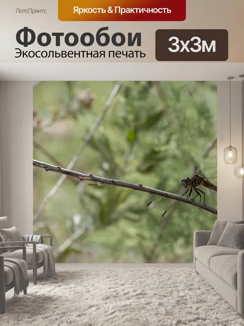 Фотообои Стрекоза