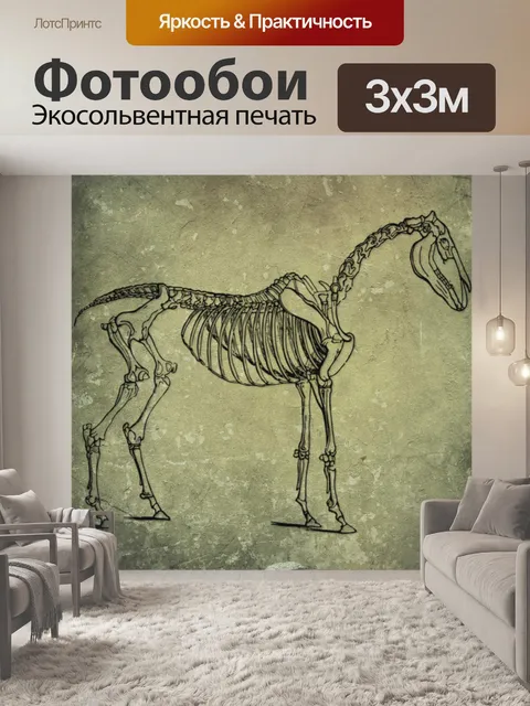 Фотообои скелет лошади