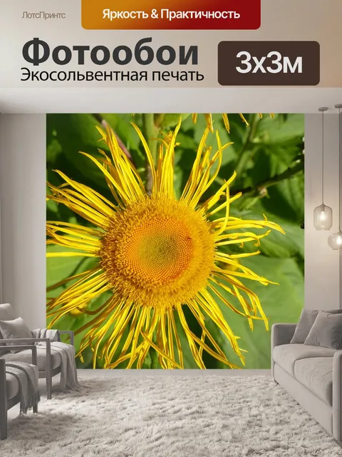 Фотообои Alant