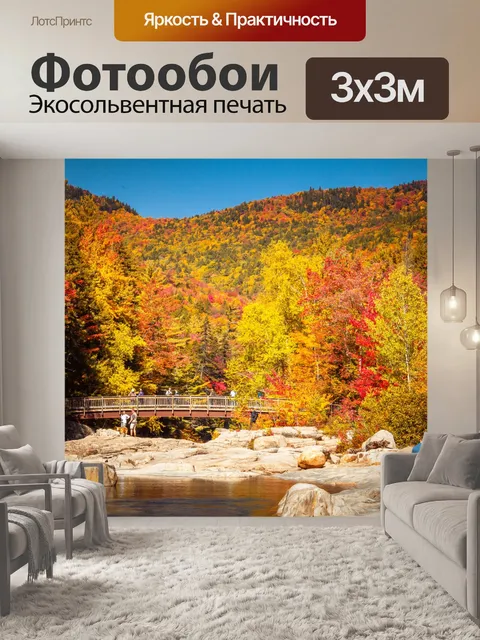 Фотообои Мост в лесу осенью