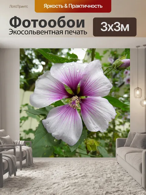 Фотообои Светло-фиолетовый Сад цветов