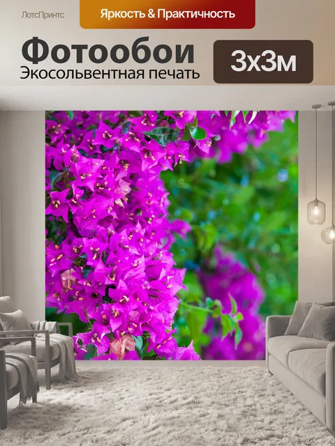 Фотообои фиолетовый бугенвилии