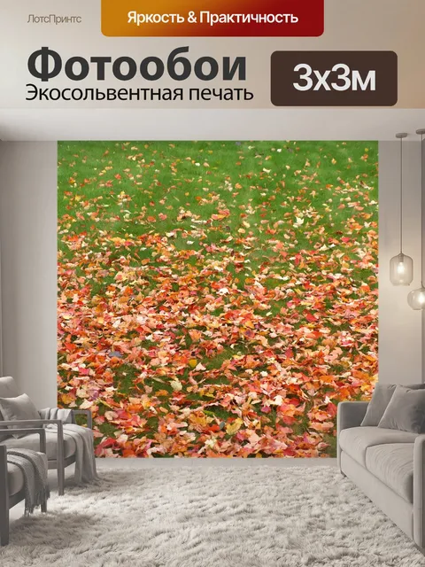 Фотообои Наступление осени