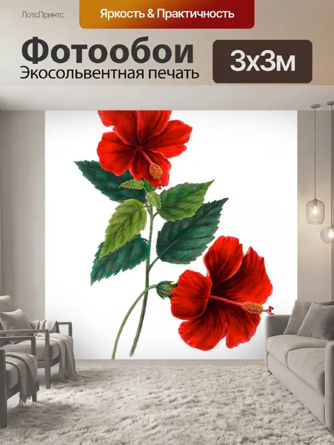 Фотообои Винтажный цветок гибискуса Клипарт