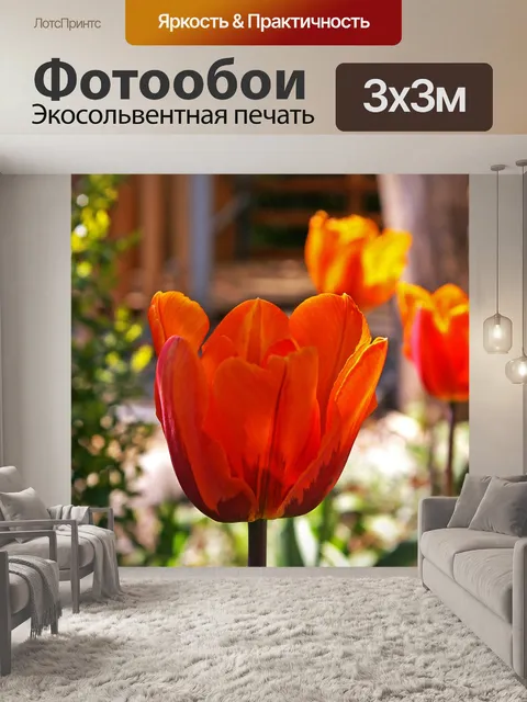 Фотообои Тюльпаны
