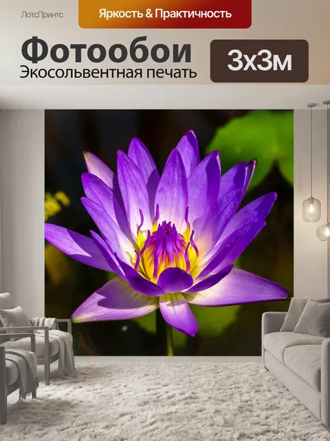 Фотообои Цветок лотоса
