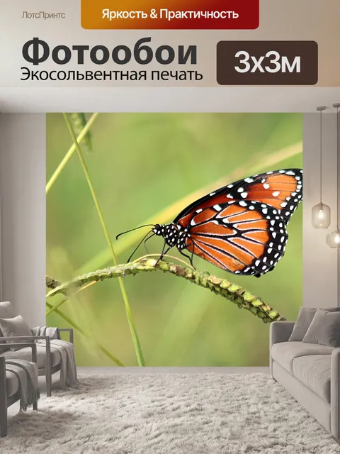 Фотообои Королева Бабочка на дикой траве