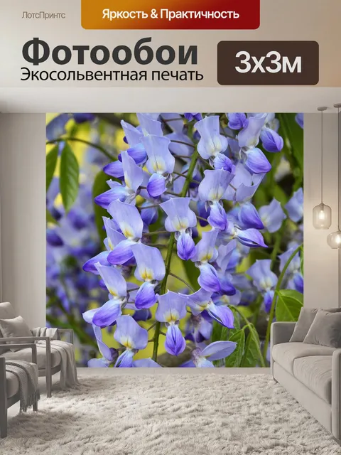 Фотообои Висячий цветок