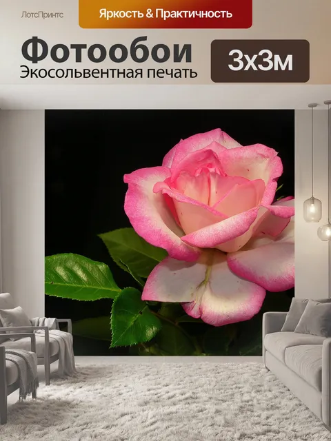 Фотообои Роза