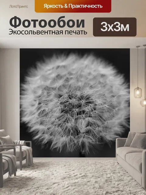 Фотообои Одуванчик