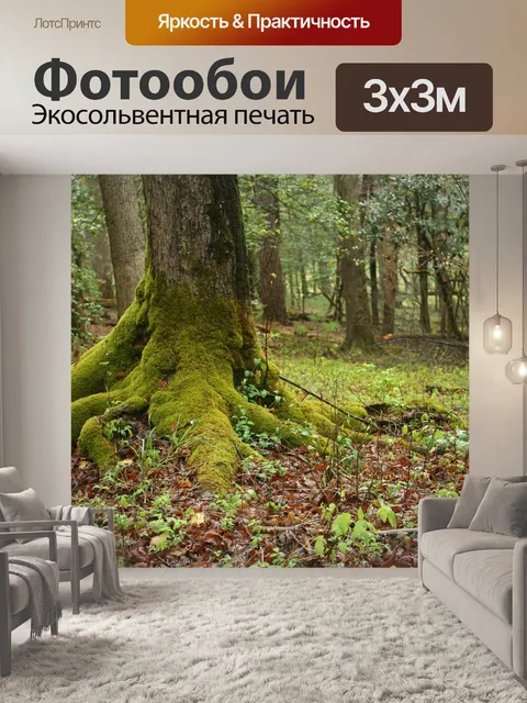 Фотообои Мшистая