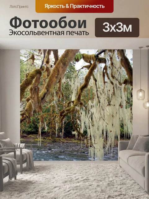 Фотообои Mossy дерево над рекой