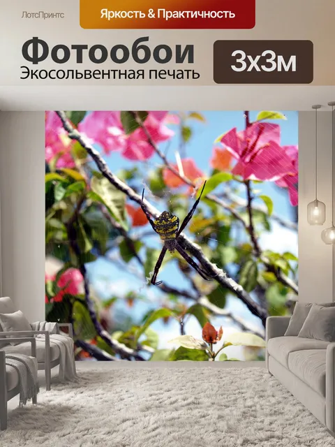 Фотообои Пальмовый паук