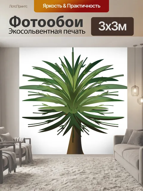 Фотообои Пальма