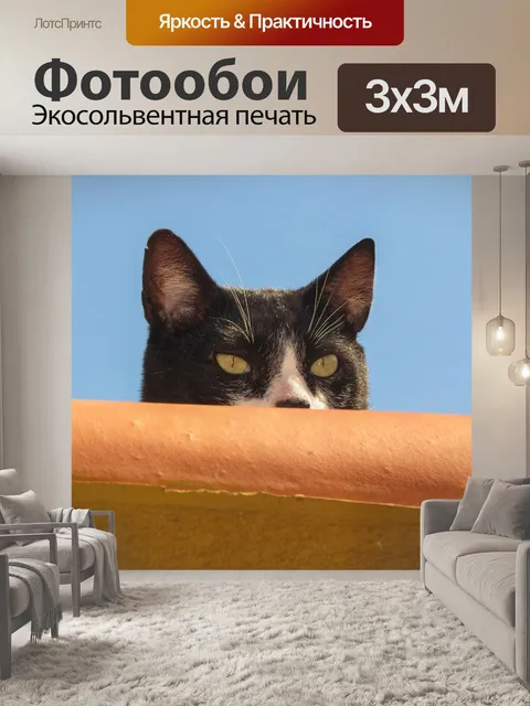 Фотообои Кошка